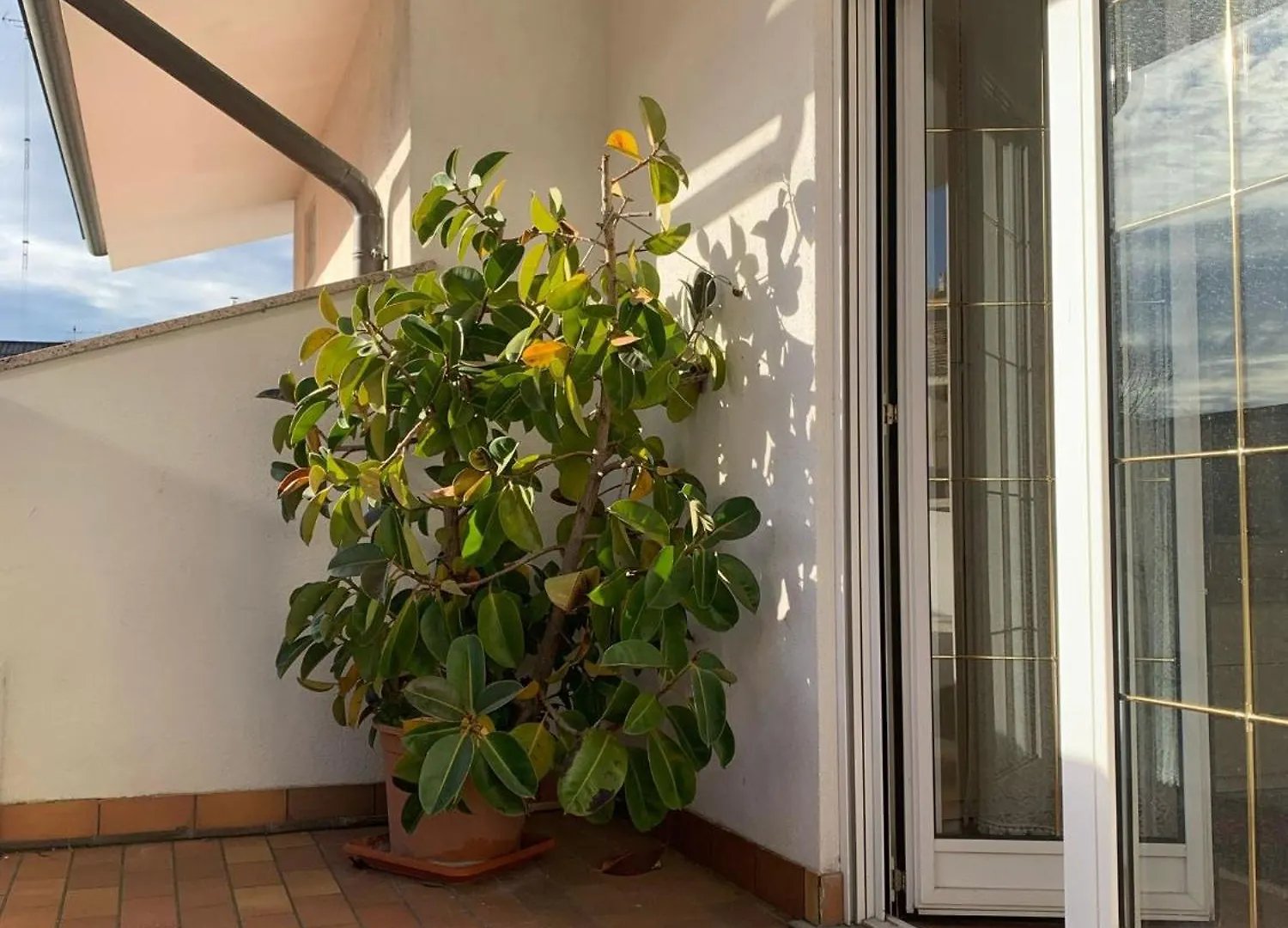 Diva Home Monfy Monfalcone